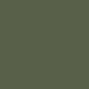 Jesus Hoodie - Green Design